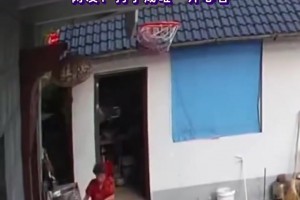 完啦 小孩哥投篮一发命中，球入篮后打翻奶奶炖的螃蟹煲！